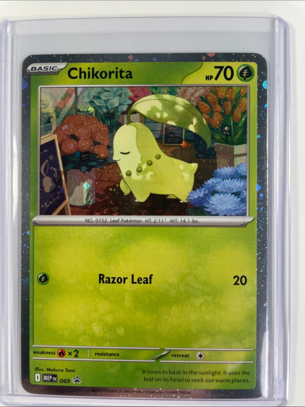 Pokemon Chikorita Holographic Card - Green